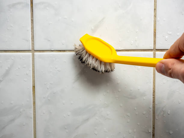Best Mold Removal Company Near Me  in Jessup, MD