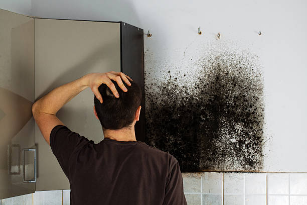 Best Crawl Space Mold Removal  in Jessup, MD